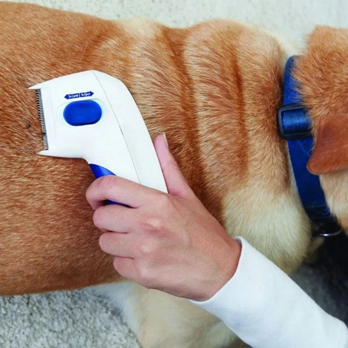 Peine Eléctrico Para Mascotas Mata Pulga